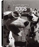 Book Elliott Erwitt: Dogs